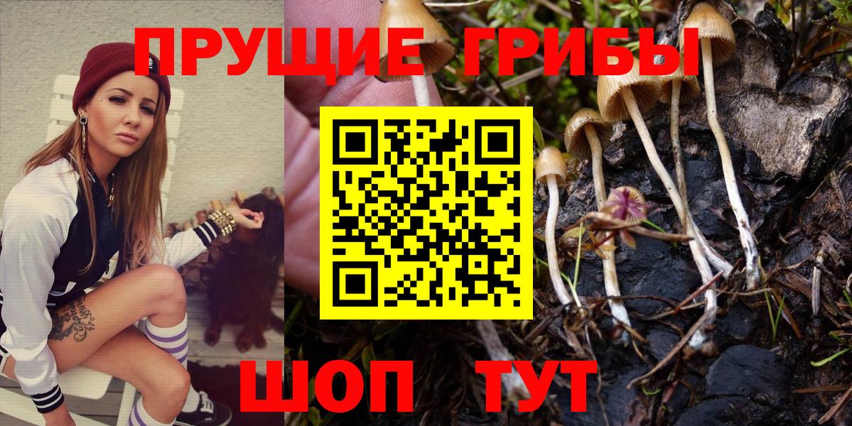 Шелехов  Галлюциногенные грибы мухоморы  Вход с VPN 